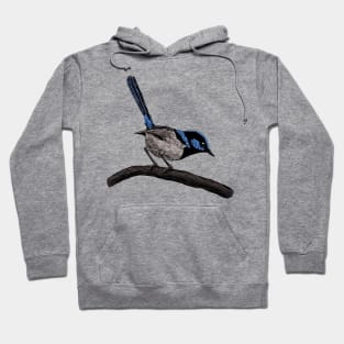 Fairy wren drawing Hoodie